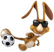 Fun rabbit