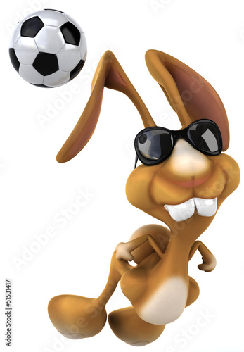 Illustration: Fun rabbit Fun rabbit