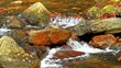 Waterfall in autumn