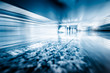 motion passengers