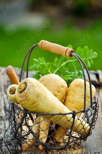 Photo: Wurzelgemüse Wurzelgemüse