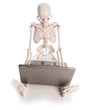 Skeleton working on laptop