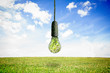 Photo: Light bulb with green leaves inside Light bulb with green leaves inside