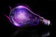 Pink light bulb