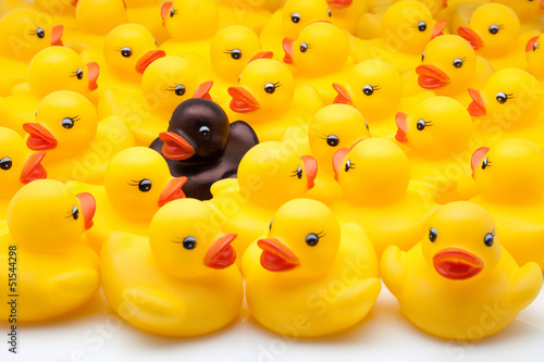 Photo: patos juguete patos juguete