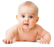 Adorable baby boy isolated