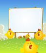canvas print picture - Spring Easter Chicken And Wood Sign