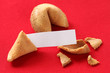 fortune cookie with blank message