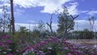 Video: profesional timelapse profesional timelapse