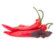 Hot red chili or chilli pepper and basil leaves still life