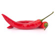 Hot red chili or chilli  pepper