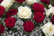Weiße und rote Rosen