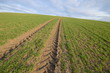 Frühling