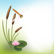 Dragonfly reedmace water lily background