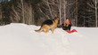 Beauty woman with dog