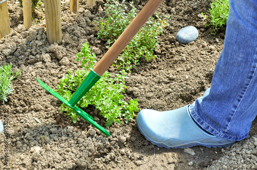 Photo: Gartenarbeit Gartenarbeit