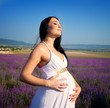 Pregnant woman on lavender field