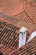 Red clay tubular tiled rooftops