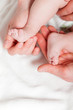 Closeup of baby feet with hands of parents. Studio shot.