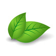 ecology concept icon with glossy green leaves