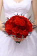 Donation. Vernal Bouquet of Red Flowers in Woman's hands
