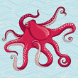 Red octopus