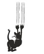 katze21904a