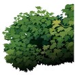 Vektor: Shrub - Cartoon Plant Shrub - Cartoon Plant