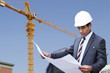 Architect reading a drawing