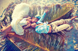 Wedding couple lying on palm leaf Wedding couple lying on palm leaf