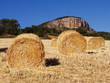 hay bales