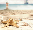 Starfish and a seashell