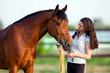 Young girl and bay horse outdoor