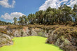 Wai-o-Tapu Geothermal Gebiet