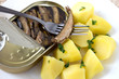 Sprats