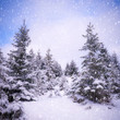 winterlandschaft