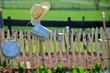 Gemüsegarten