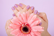 Human Fingers With Beautiful Manicure