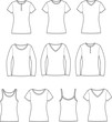 Vector illustration of women's t-shirts