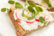 sandwiches with radish and sunflower sprouts