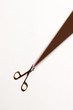 Photo: scissors with shade scissors with shade