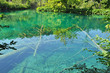 Beautiful turquoise lake in Plitvice National Park, Croatia