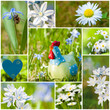 Spring garden collage