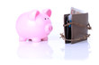 sad pig no money
