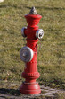 Foto: Hydrant Hydrant