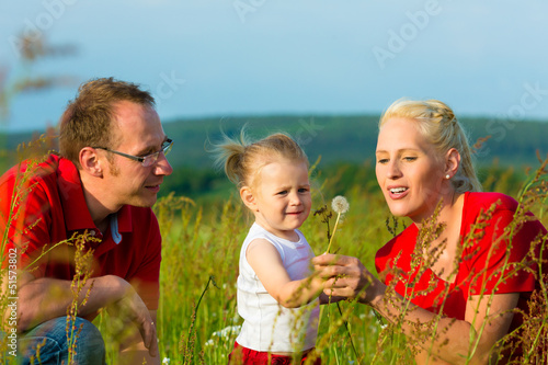 Photo: Kid in the meadow blowing dandelion seed Kid in the meadow blowing dandelion seed