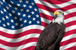 Photo: USA Flag with bald eagle USA Flag with bald eagle