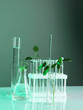 Test tubes with plant on gray-green background