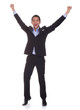 Portrait of successful businessman