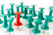 Individuell rot